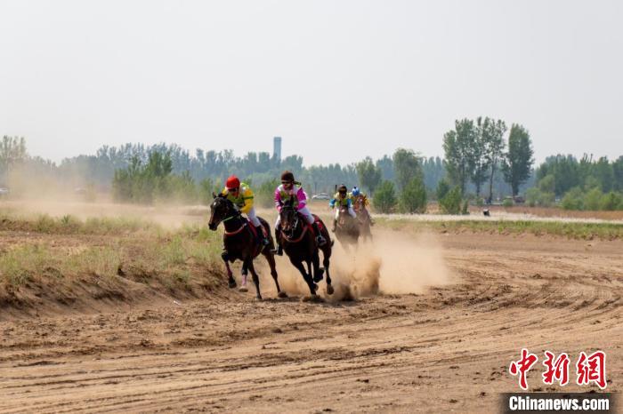 石家庄无极县举办“驭见无极”马术速度大赛